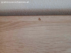 Kommode Sideboard Anrichte